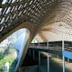 Roof for the Multihalle (multi-purpose hall) in Mannheim, 1970–1975, Mannheim, Germany. Photos © Atelier Frei Otto Warmbronn