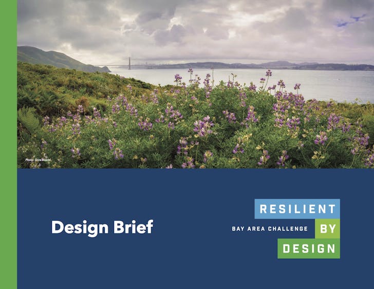 Resilient by Design Brief cover. 