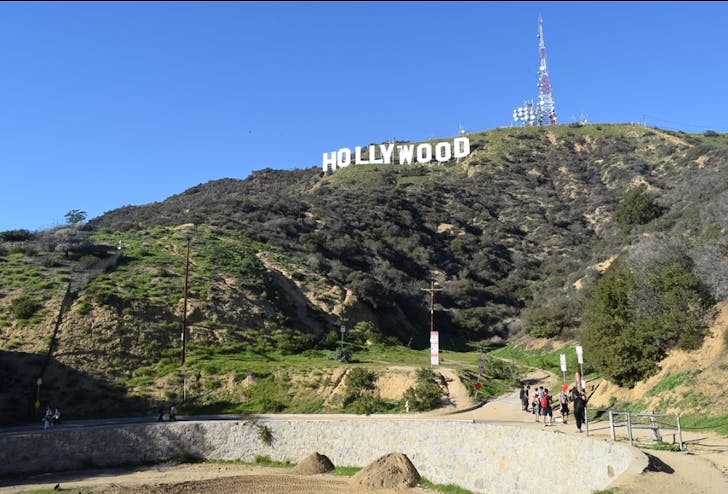 Hollywood Competition site. Image: Nick Graham