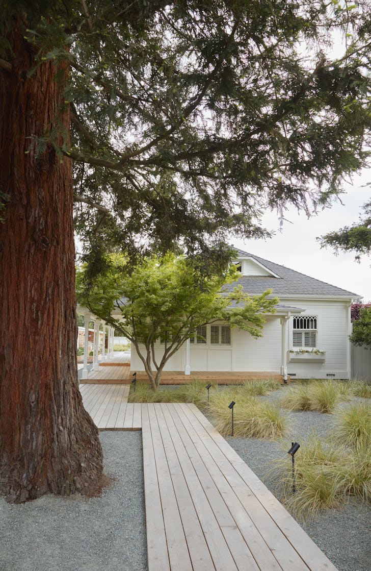 Residence in Sonoma. Image courtesy of Terremoto Landscape.