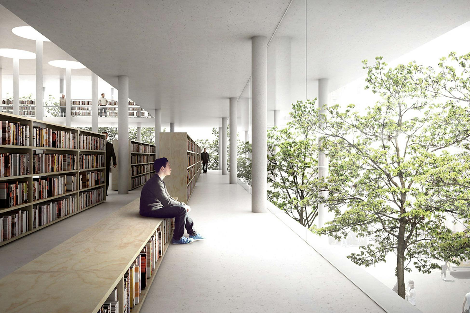 Library tree. Современная библиотека. Пространство библиотеки. Необычные библиотеки. Современная библиотека в школе.