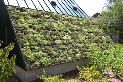 An example of a green roof project via Wikipedia.