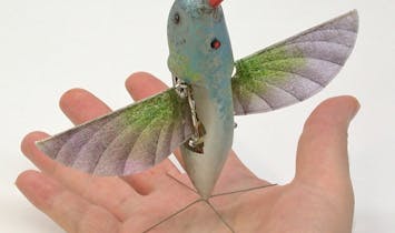 Hummingbird Drones and other Bio-inspired Robotics