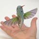 DARPA's hummingbird-inspired drone carries a video camera and can be used for surveillance purposes. Via: DARPA / Wikipedia