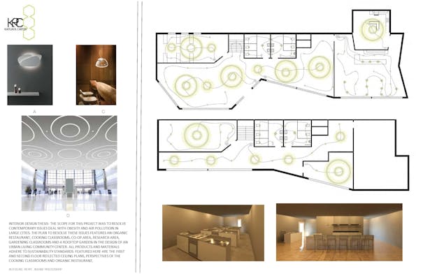 interior design thesis project