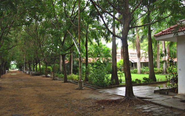 Walking path and Dhamma hall