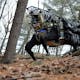 The LS3 is designed to be like a pack mule, carrying heavy loads for soldiers across rough terrains. Via: DARPA