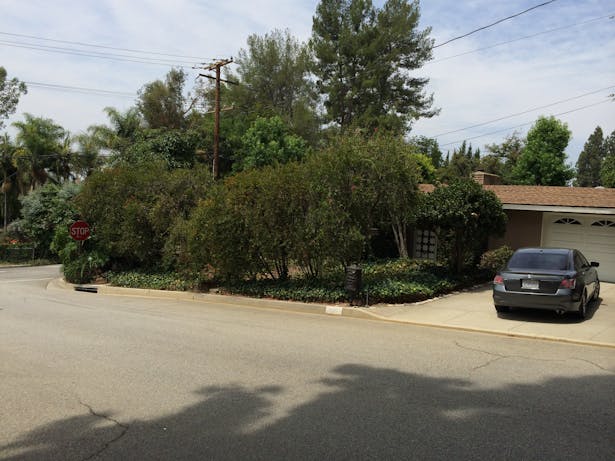 Before- parkway with property's driveway and sideyard. 6/2014.