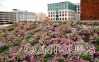 CONTOURS: Designing the Green Roof