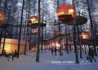FESTIVAL IN FOREST