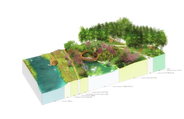 Water Valley - Aquatic gardens ecosystem © TLS