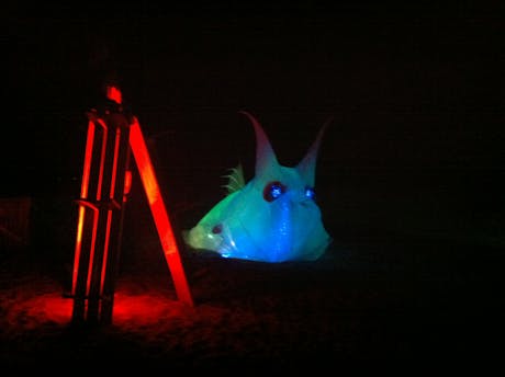 My inflateable is enliving the night at the beach @10daysofart.org