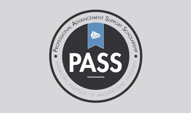 AIAS Professional Advancement Support Scholarship. Screenshot via Indiegogo