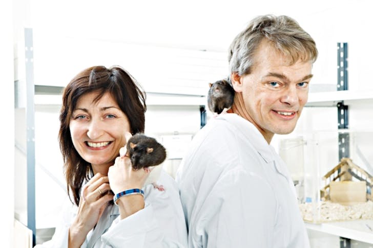 May-Britt Moser, Edvard Moser, and the rats that they use in their groundbreaking neuroscience research. Image Geir Mogan/ NTNU. Not pictured: John O'Keefe, the third winner of the prize.