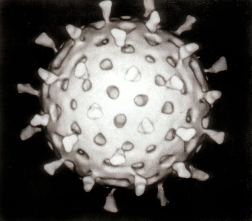 A digitally-constructed image of a rotavirus. Credit: Wikipedia